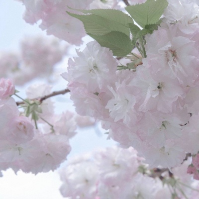 Furry绘画光影技巧兽圈社群